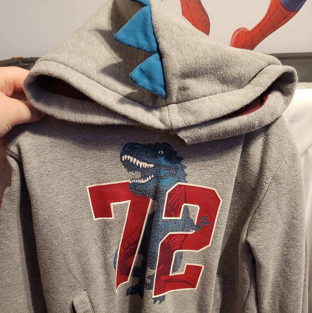 Boys dinosaur sweatshirt
